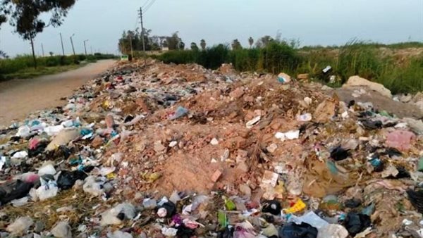 جانب من الحدث