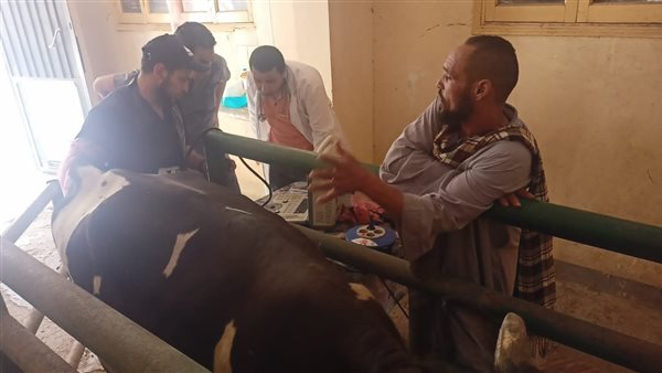 جانب من الحدث 