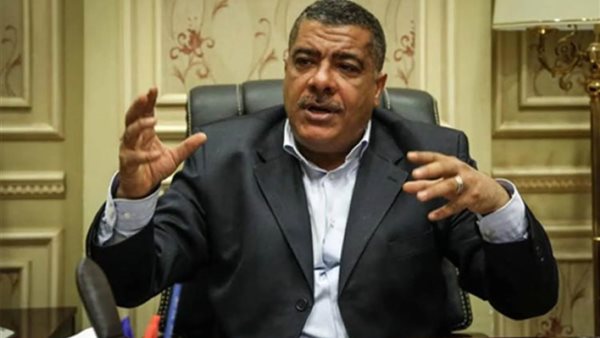 النائب معتز محمود