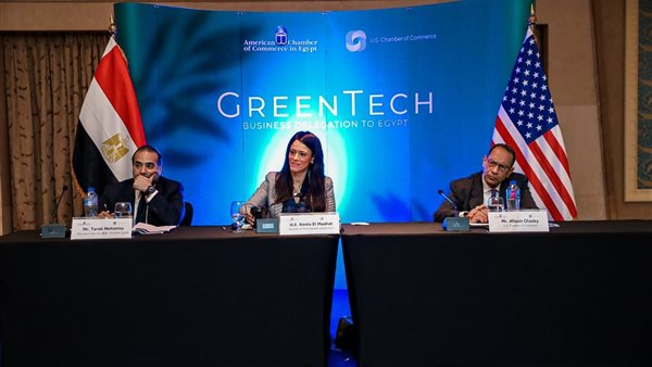 وزيرة التعاون الدولي