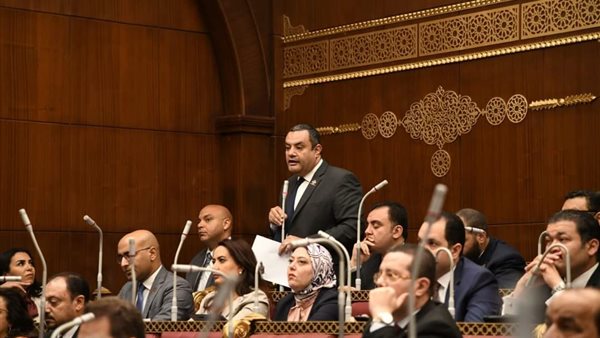 النائب أكمل نجاتى