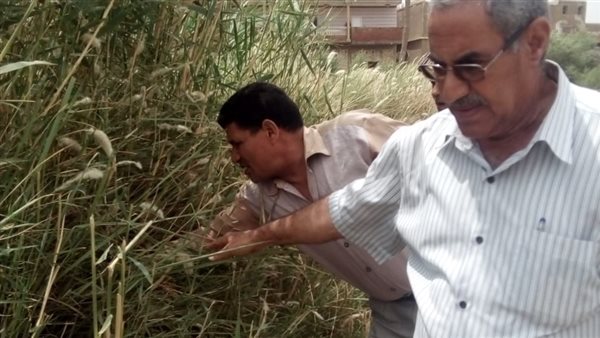 صورة من احد الحملات