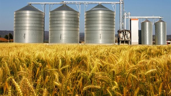 صوامع القمح