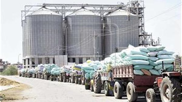 توريد القمح