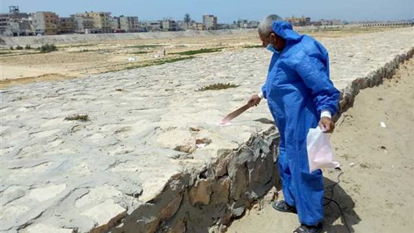 محاربة القوارض