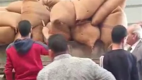 توريد القمح