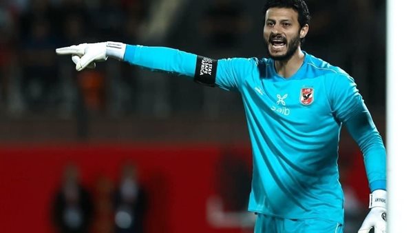 محمد الشناوي