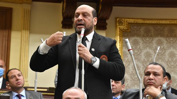 محمود الشامي