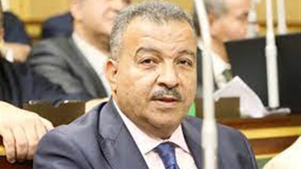 الدكتور محمد العمارى