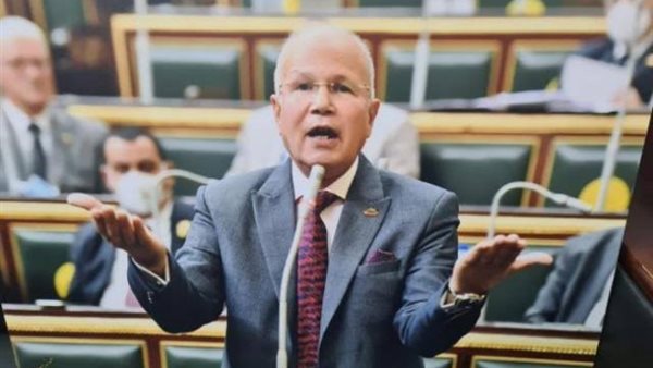 النائب السيد شمس