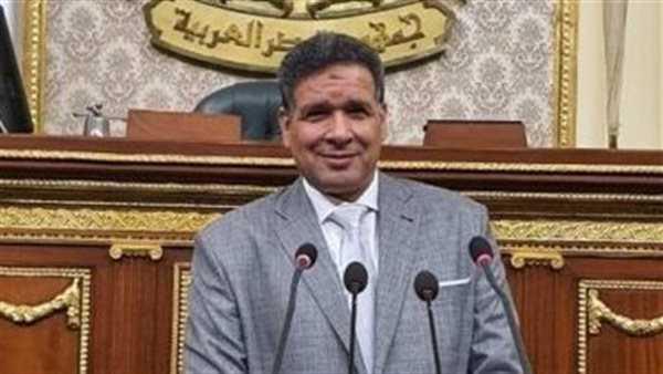 النائب عصام العمدة