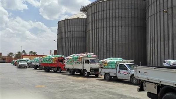 توريد القمح