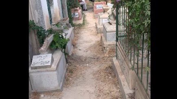 المقابر تتزين بالورود