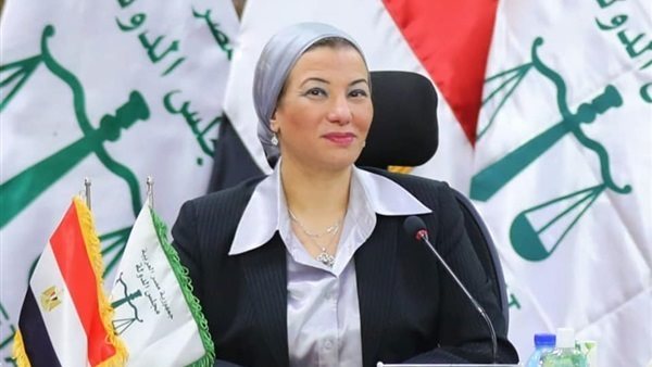 ياسمين فؤاد وزيرة