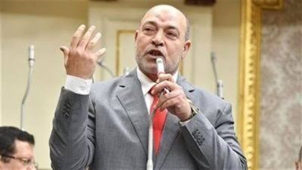 النائب حسن المير