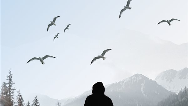 عراف النرويج