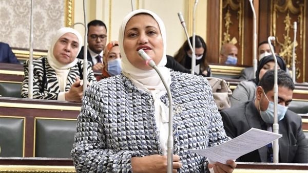 النائبة سناء السعيد