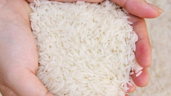 حازم المنوفى