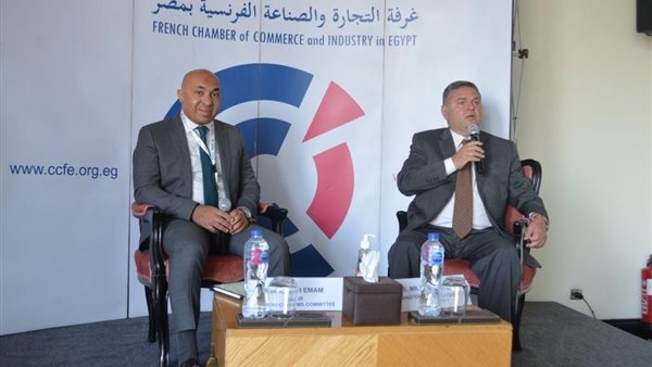 وزير قطاع الأعمال