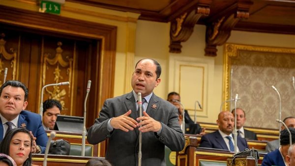  النائب عمرو درويش