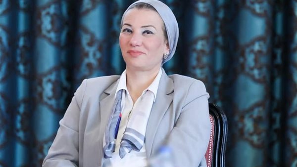 ياسمين فؤاد وزيرة