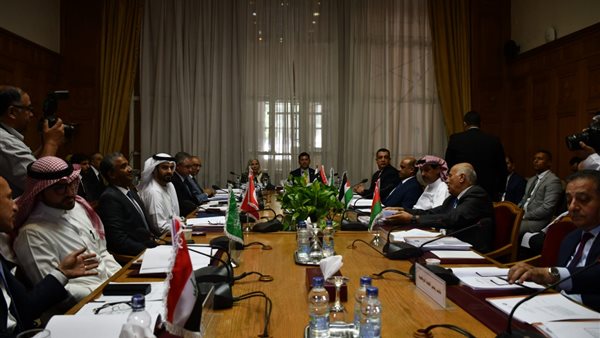 صبحي واللجان العربية