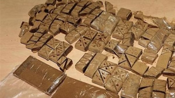 صورة من الضبطية