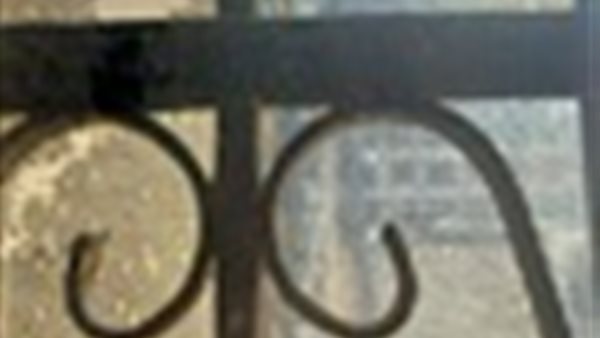 جانب من الحدث