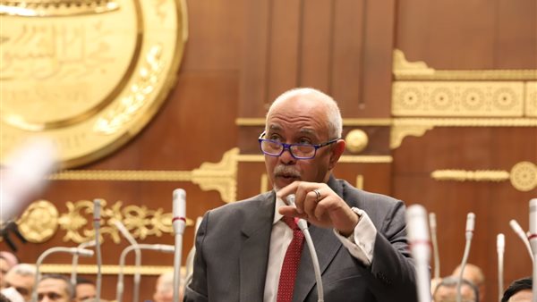 النائب حازم الجندي