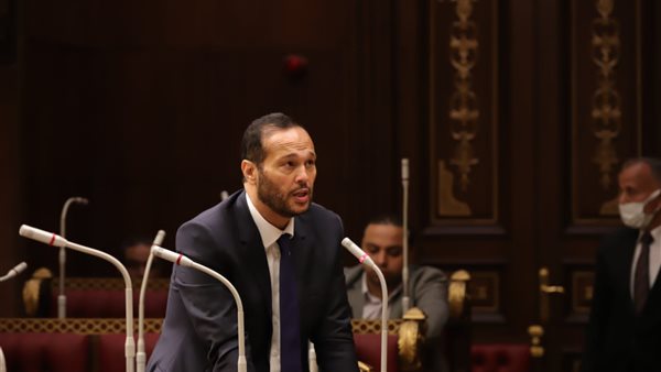 النائب محمد حلاوة