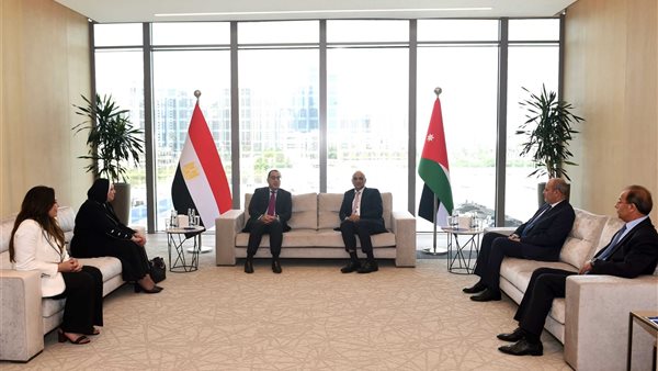 رئيس الوزراء يلتقي