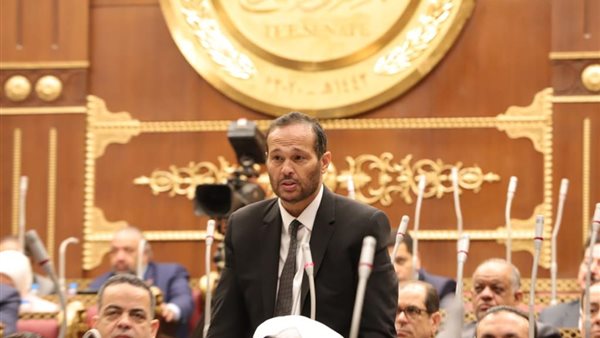 النائب محمد حلاوة