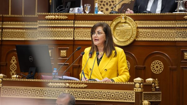 وزيرة التخطيط 