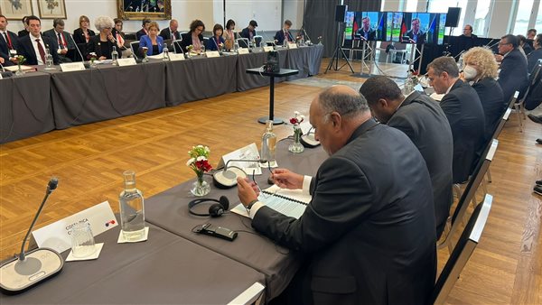 سامح شكري وزير الخارجية