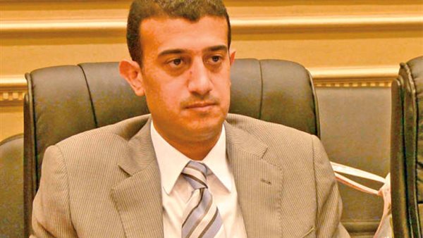 طارق الخولى