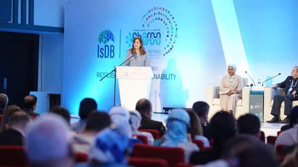 هالة السعيد وزيرة