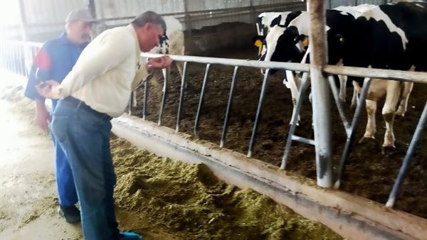 الطب البيطرى