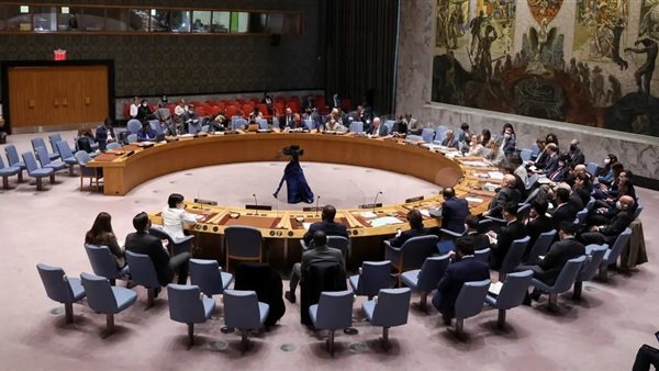 مجلس الأمن - صورة