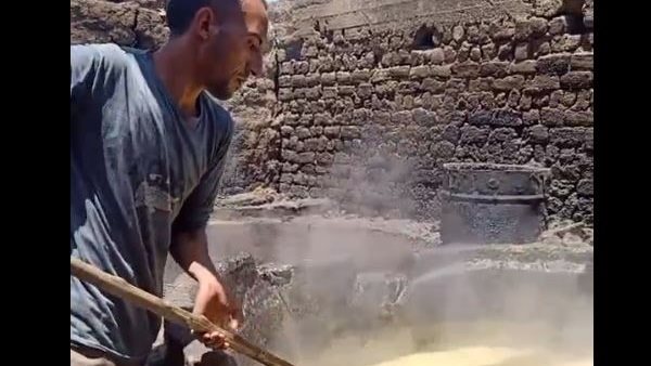 صناعة العسل الأسود