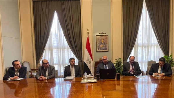 سامح شكري وزير الخارجية