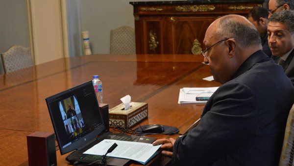 سامح شكري وزير الخارجية