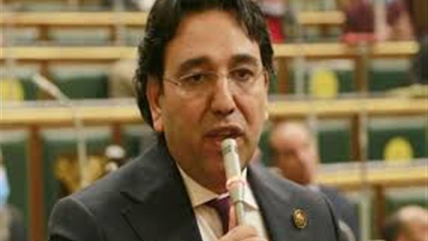 النائب أيمن محسب