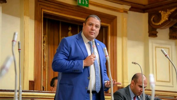 النائب محمد اسماعيل