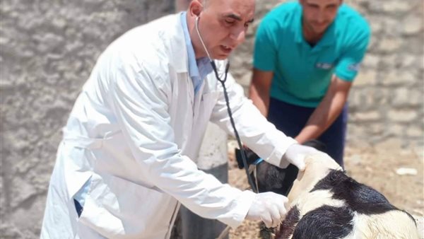 الطب البيطري