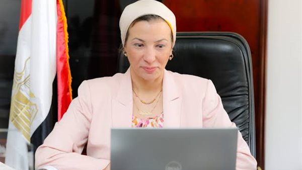 ياسمين فؤاد وزيرة