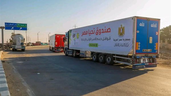 صندوق تحيا مصر 