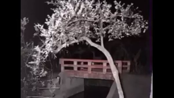 صورة من مقطع الفيديو