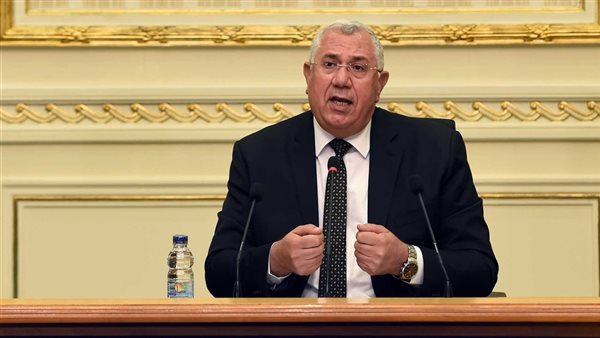 السيد القصير - وزير