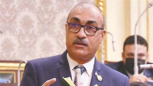 النائب إيهاب منصور