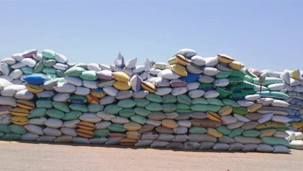 الأقماح في الشون